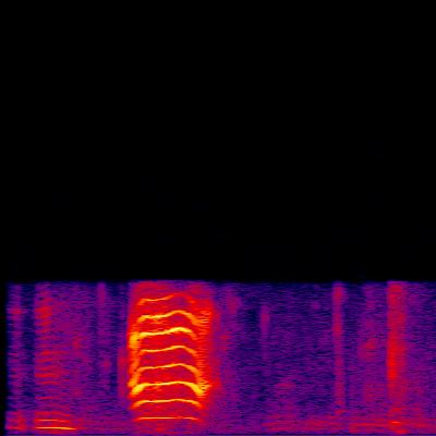 Spectrogram